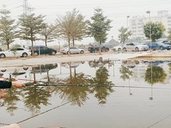 -会江钓鱼钓虾烧烤场