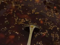 -米二红烧兔(华阳店)