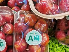 -百果园PAGODA(南沙路店)