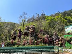 -木兰云雾山