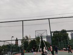 -东岳体育公园
