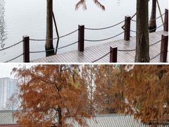 -重庆彩云湖湿地公园