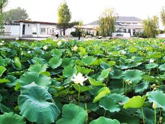 -廊坊市自然公园