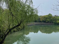 -西溪国家湿地公园