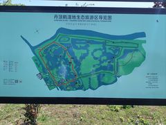 -盐城丹顶鹤湿地生态旅游区