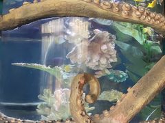 -杭州海底世界