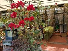 -新竹里馆·花园餐厅(兴苑路店)