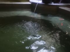 -上水温泉养生会所