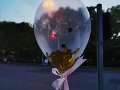 -Dark Horse·黑马蛋糕·低脂·低糖淡奶(金匙望湖大厦店)