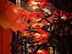 -白家大院·王府宫廷菜(苏州街店)