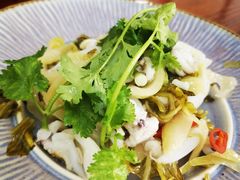 -吴祥记潮州菜·百年老字号·砂锅粥