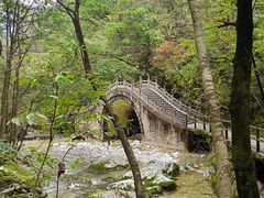 -牛背梁国家森林公园