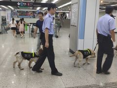 -金科路(地铁站)