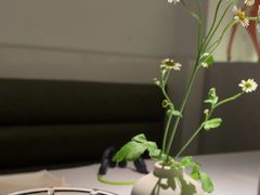 -春树下·树屋花房西餐厅(罍街AS1980店)