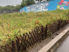 -石宝寨