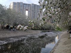 -海棠花溪(元大都城垣遗址公园)