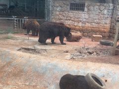 -昆明动物园