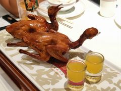 -大鸽饭(岗顶店)