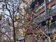 -北京市朝阳区金色摇篮幼儿园(华腾园)