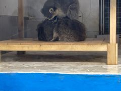 -大连圣亚海洋世界