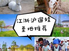 -前小桔亲子创意农场·草莓采摘·露营烧烤