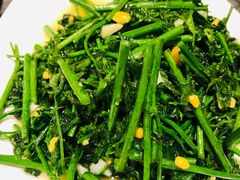 炒野菜-美极鲜食坊(宝安南路店)