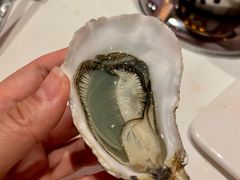 -斯普汇生蚝牛排馆(中骏世界城店)