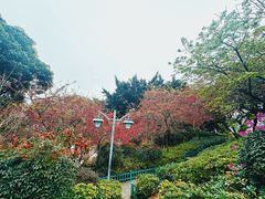 -乌山风景区