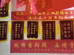 -大丰知青农场