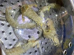 -海大大蒸汽海鲜餐厅·粤菜·特色小炒(欢乐颂店)