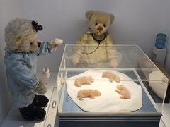 -成都泰迪熊博物馆