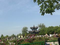 -曹州牡丹园