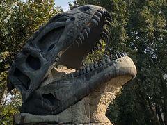 -自贡恐龙博物馆