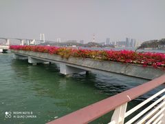 -海沧湾公园