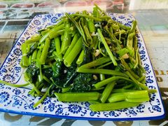 -小尹土菜