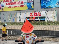 -苏州海洋馆