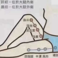 -安吉拉青春化管理中心