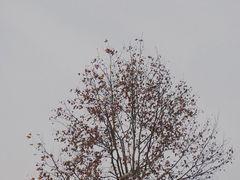 -钟山体育运动公园