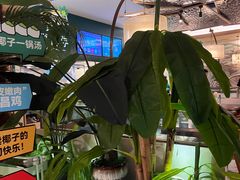 -润园四季椰子鸡火锅(南山海岸城店)