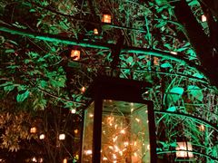 -森波拉火山温泉