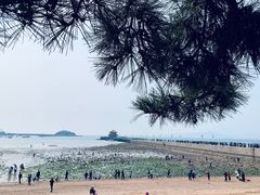 -栈桥景区