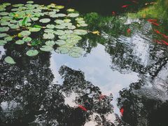 -西泠印社