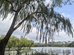 -东华大学(松江校区)