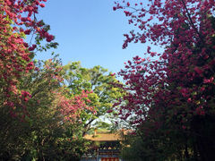 圆通寺-圆通禅寺