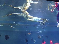 -鄂尔多斯野生动物园