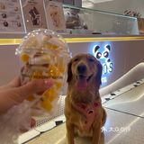 水果杯满满维C