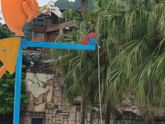 -重庆海昌加勒比海水世界