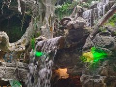 -多彩贵州城极地海洋世界