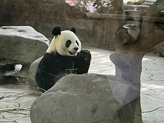 -宁波野生动物园