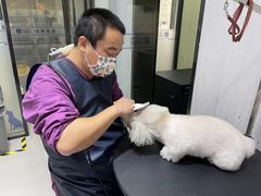 -宠颐生动物医院·小陆分院